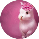 Sunanda Sunu profile picture